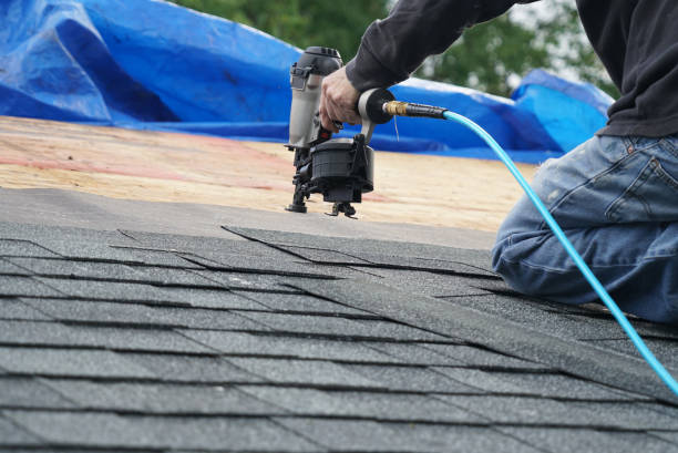 Best Roof Gutter Cleaning  in Barnwell, SC